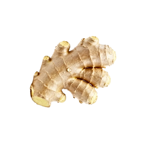 Ginger