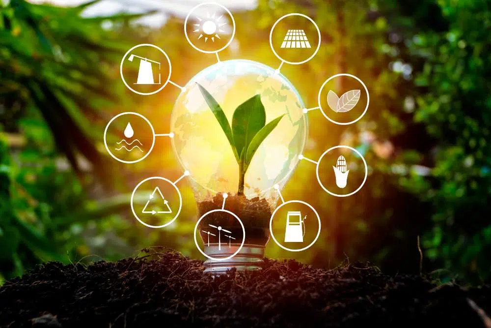 Responsible Sourcing